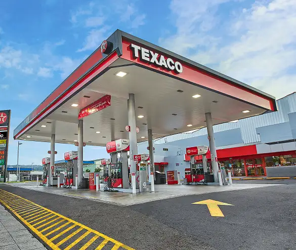 Alianzas estratégicas de Roceli